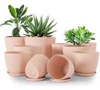 Utopia Home Paquete de 10 macetas 18/17/15/13/12 cm Maceta con platillo para la Cocina, balcón, Plantas de jardín, macetas de vivero de Interior Rosa.