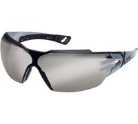 Uvex Gafas de patillas Pheos Cx2 Silberspatilla 12% 9198888