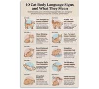 UYCUODLUY Cat Body Language Interpretation Signs and What They Mean Poster Canvas Painting Wall-Art for Bedroom Living Room Decor(Unframed,12x18inch(30x45cm))