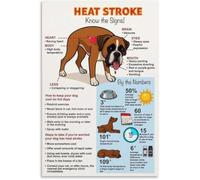UYCUODLUY Heat Stroke in Dogs Poster Warning Signs First Aid Tips Wall-Art(Framed,08x12inch(20x30cm))