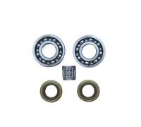 UYTGFO Compatible con Husqvarna 395XP 395 394 394XP 288 281 181 298 2100 2101, piezas de motosierra 503260205, juego de sellos de aceite de cojinete de bolas de cigüeñal.(2 Sets)