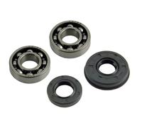 UYTGFO Compatible con mini motosierra Zenoah G2500, TOPSUN, Anova, STIGA, Zomax, sello de aceite del cigüeñal, kit de rodamiento de agujas de bolas ranuradas, 2500, 25 CC y 25,4 CC.