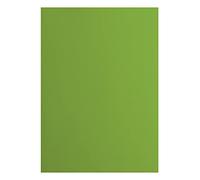Vaessen Creative Florence 2927-074 Cardstock de papel, verde, 216 g/m², DIN A4, 10 unidades, liso, para álbumes de recortes, tarjetas, troquelado y otras manualidades de papel, rana