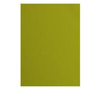 Vaessen Creative Florence 2928-072A4 - Lote de 10 tarjetas de papel para álbumes de recortes, tarjetas, troquelado y otras manualidades de papel, 216 g/m², tamaño A4, color verde