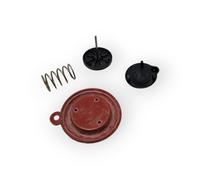 VAILLANT MEMBRANE WATER GROUP ART. 115300 MAG MINI 11-0 / 0 GX - XI CALDERA