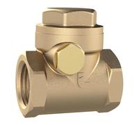 Válvula antirretorno Riegler RK12MSNBRE, DN 15, fundición roja, G 1/2, PN Max. 16 bares.
