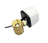 Válvula de bola eléctrica de 1/2 quot; 3/4 quot; 1 quot; 2 quot; AC220V 3 cables 2 puntos de control válvula de bola motorizada de latón 220VAC 24VDC 12VDC 24VAC 1Pcs(220vac,2 pulgadas)