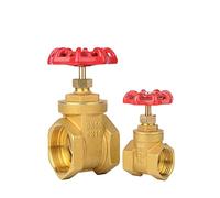 Válvula de compuerta de latón con rosca hembra G 1/2", 3/4", 1", 1-1/2", 2", DN15, DN20, DN25, DN32, DN40 y DN50 con volante de acero y paso completo(DN25)