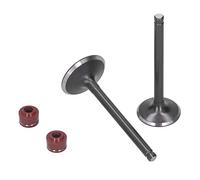 Válvula de escape de admisión de cabeza de motor Sellos de vapor para admisión YX Ajuste para motor YX PIT PRO PIT Bike
