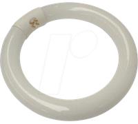 Velleman Tubo fluorescente circular T4 de 22 W, bombilla de repuesto para lámpara de aumento, lámpara de escritorio, luz diurna blanca fría de 6500 K, antideslumbrante, 900 lúmenes, luz de trabajo