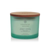 Vela aromática Chesapeake Bay Balance + Harmony con 3 mechas 312 g