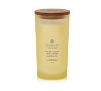 Vela aromática Chesapeake Bay Strength + Energy 355 g