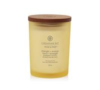 Vela perfumada Chesapeake Bay Strength + Energy 250 g