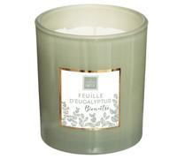 Vela Perfumada Eucalipto - Dulce Aroma - Infancia - Viajar - Fragancia Exótica