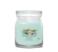 Vela perfumada yankee candle aloe & agave 368 g