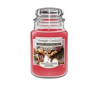 Vela tarro grande 538 g Cinnamon Dellight YANKEE