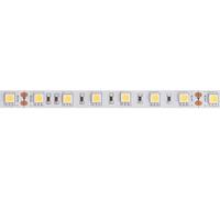 Velleman tira led, flexible, autoadhesivo, ip61, 300 led, 5 m, 24 v, 6