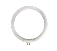 Velleman Tubo fluorescente circular T4 12W, Blanco frío 6500K, 720 lúmenes, para VTLAMP10
