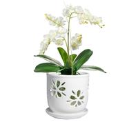 vensovo Maceta para orquídeas de 15 cm con Agujeros y platillo, Maceta de cerámica Blanca con Drenaje para trasplantar, Salud de raíces y Cuidado de orquídeas, Maceta Decorativa para Plantas de