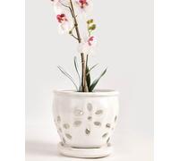 vensovo Macetas de cerámica para orquídeas de 5 pulgadas con agujeros y platillos, 1 maceta pequeña para plantas suculentas para trasplantar, macetas de jardín para plantas de interior y exterior
