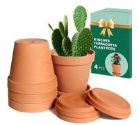 vensovo Macetas de Terracota y Arcilla de 6 Pulgadas para Plantas con platillo, Paquete de 4 macetas Medianas de Terracota con Agujero de Drenaje, Maceta para Plantas de Interior y Exterior,