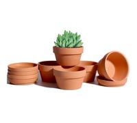vensovo Macetas suculentas poco profundas de terracota de 4.5 pulgadas, paquete de 6 macetas de arcilla de terracota con platillo, macetas para interiores y exteriores con agujero de drenaje