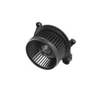 Ventilador de habitáculo THERMOTEC DDG008TT