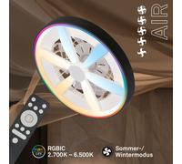 Ventilador de techo con iluminación Ventilador Lámpara LED Regulable RGB 48cm...