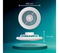 Ventilador de techo LED Philips Amigo, blanco, 48 cm, CCT, RGB
