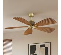 Ventilador de techo Parrot Uncle, 142 cm, diseño de madera, estilo tropical, materiales: ABS y hierro, 6 velocidades, con mando a distancia, funcionamiento silencioso, ideal para salones y dormitorios