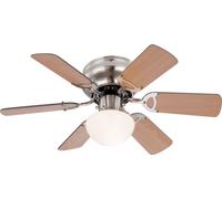Ventilador De Techo Plano Globo UGO 76 cm Bucle/Graphit Con Luz Y Zugschnur 50 W