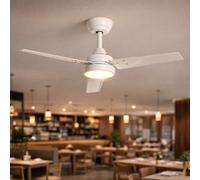 Ventilador de Techo Silencioso Vacker 105cm Motor DC para Exterior