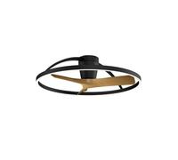Ventilador NEPAL II negro-madera