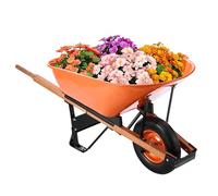 VEVOR Carretilla de Mano para Jardín Capacidad de Carga de 150 kg Carretilla de Jardín de Una Rueda con Manija de Metal y Rueda de 40 cm de riel de Ancho Carretilla para Granjas, Césped, Jardinería