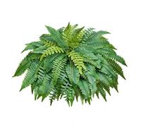 VEVOR Helechos Artificiales, 1 Unidad, Helechos de Boston Artificiales con 96 Frondas Hojas de Seda y LDPE, Diámetro de 1270 mm para Maceta Porche Hogar Decoración Balcón Jardín Interior y Exterior