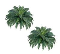 VEVOR Helechos Artificiales, Diámetro de Extensión Natural: 100-119 cm, Colgantes, Decoración de Pared con 50 Ramas, para Hogar y Oficina, Maceta no Incluida, 650 x 200 x 200 mm, Verde, 2 uds