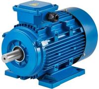 VEVOR, motor trifásico de 2,2 kW, motor eléctrico trifásico de 2 polos, motor asíncrono para compresores, 400 V, 3000 RPM, eje de motor tipo B3