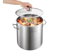 VEVOR Olla de Acero Inoxidable Capacidad de 19,9 L, Olla con Tapa de Vidrio y Asas Diametro Interno de 30 cm, Ligero para Transportar, Base de 3 Capas, Grande y Resistente, Ideal para Sopas, Guisos