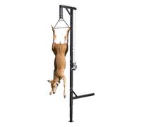 VEVOR Polipasto de Enganche para Camión, Carga 272 kg, Grúa para Caza de Ciervos con Receptor de 5 cm, Eje Giratorio de 360° y Altura Ajustable, Incluye Cabrestante para Desollar y Limpiar la Presa