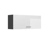 Vicco Armario Colgante R-Line, Blanco Alto Brillo/Antracita 100 cm | Puerta con apertura hacia arriba · 1 Estante · Profundidad - 31 cm · ✓ Libremente combinable