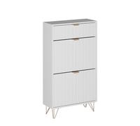 Vicco Armario para Zapatos Helge, Blanco, 60 x 107.5 cm | 2 compartimentos, apto para guardar zapatos y accesorios