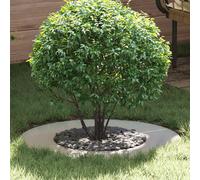 vidaXL adecuado para Anillo de Árbol Plano Plateado Ø40 / 70 cm