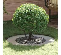 vidaXL adecuado para Anillo de Árbol Plano Plateado Ø50/80 cm