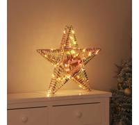 vidaXL Adorno navideño en forma de estrella 3D, 50 LEDs, luz blanca cálida, 55 x 52,5 x 9 cm, material: PET
