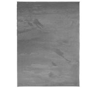 vidaXL Alfombra Pelo Corto OVIEDO, tapete para suelo radiante esponjosa, Gris Antracita 240x340 cm