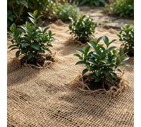 vidaXL Alfombra de terraplén de yute Natural 1,2 x 5 m