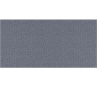 vidaXL Alfombra rectangular, gris claro, 100 x 200 cm, de tela