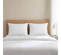 vidaXL Almohada FULDA 2 uds. 30 x 50 cm 100% Plumón y plumas de ganso
