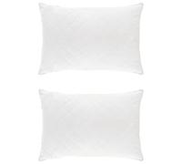 vidaXL Almohada FULDA 2 uds. 40 x 60 cm 100% Plumón y plumas de ganso