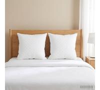 vidaXL Almohada FULDA 2 uds. 60 x 60 cm 100% Plumón y plumas de ganso